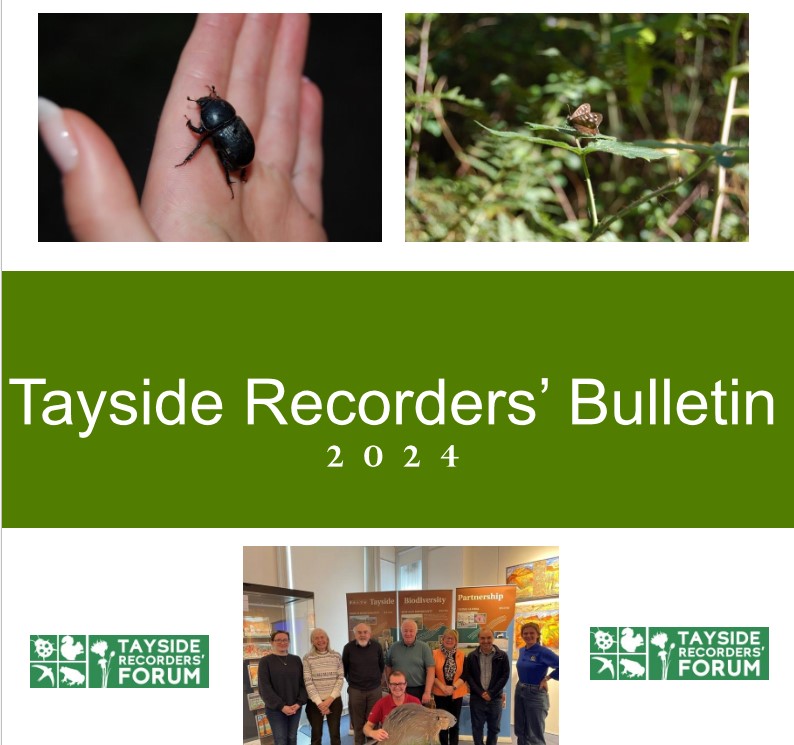 Tayside Recorders' Bulletin 2024